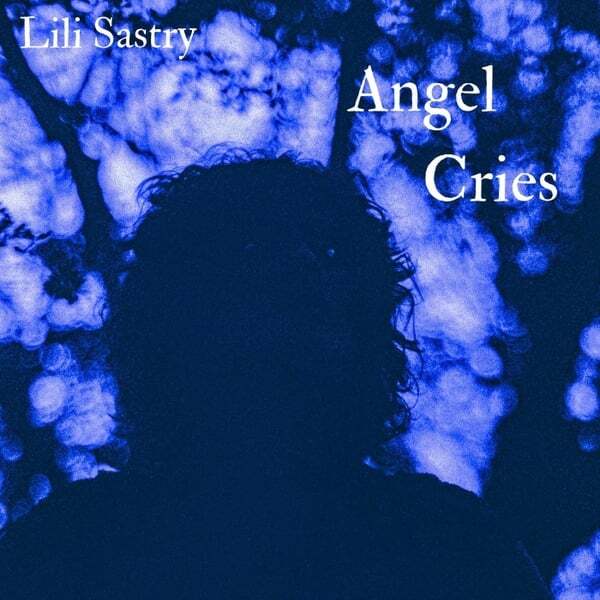 Cover art for Angel Cries